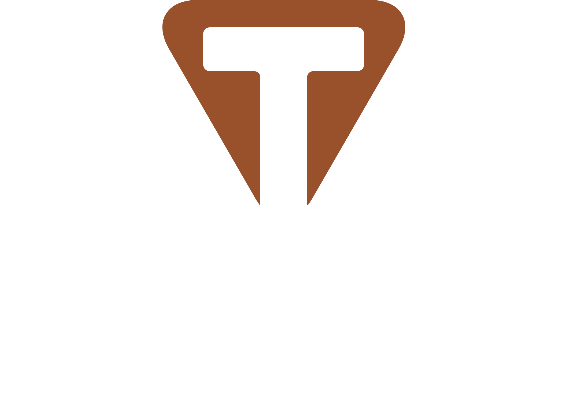 Traveler Guitar